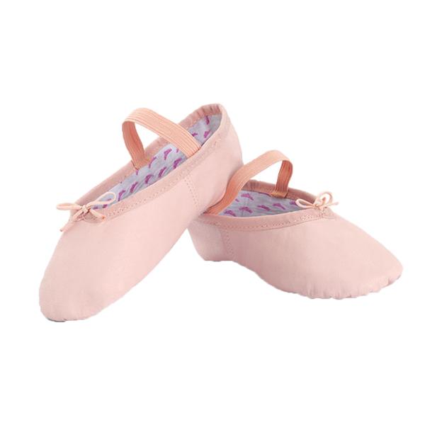 princessballetshoe_grande.png?